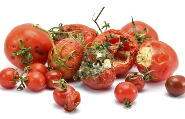 Keep Off Rotten Tomatoes To Avoid Cancer, NAFDAC Warns Nigerians