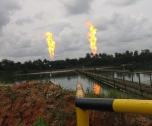 Over 700 Companies Applied For 178 Gas Flare Sites In Niger Delta