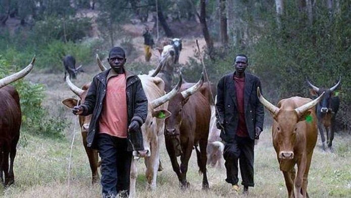 Nigeria Government Suspends RUGA Settlements For Herdsmen