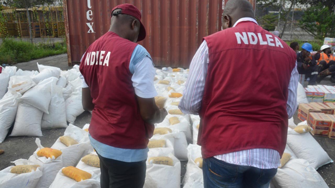 NDLEA Recruitment 2019: How To Apply For National Drug Law Enforcement Agency Job